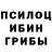 Галлюциногенные грибы GOLDEN TEACHER DIDGET GAMER