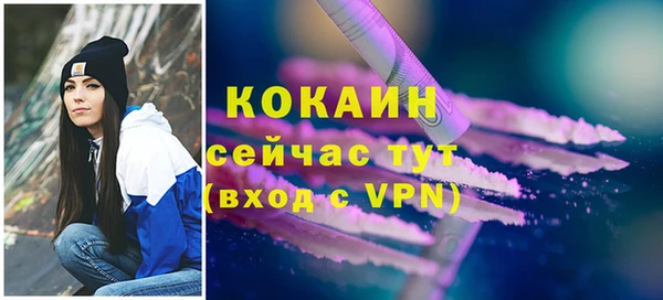 индика Белокуриха