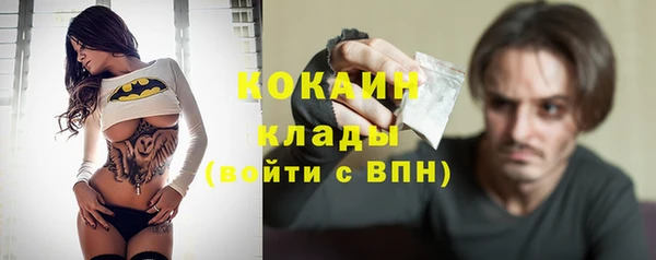 индика Белокуриха