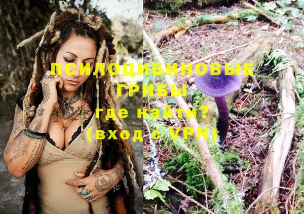 индика Белокуриха