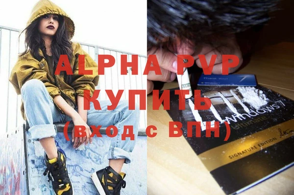 индика Белокуриха