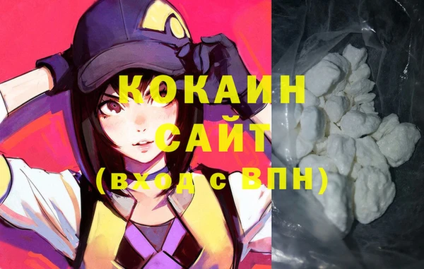 индика Белокуриха
