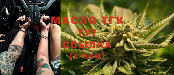 индика Белокуриха