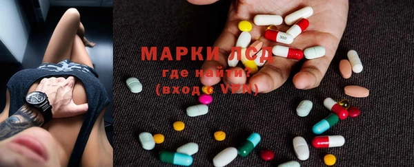 индика Белокуриха