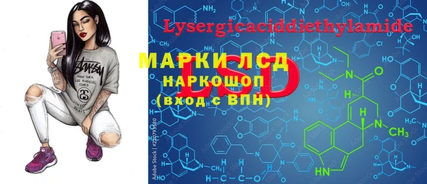 индика Белокуриха