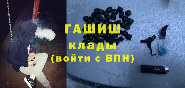 индика Белокуриха