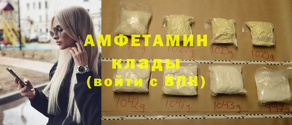 индика Белокуриха
