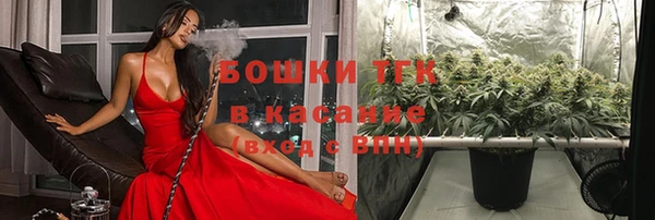 индика Белокуриха