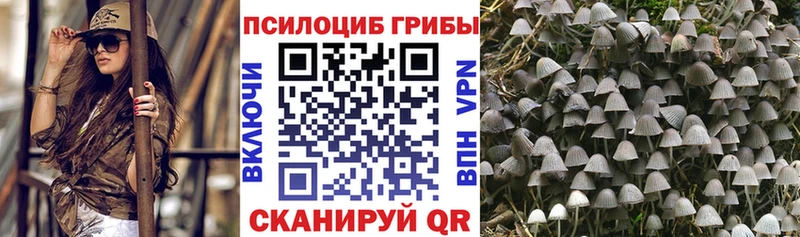 блэк спрут ссылка  дарнет шоп  Невьянск  Галлюциногенные грибы Psilocybine cubensis 